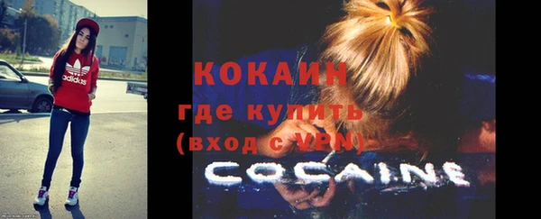 гашик Михайлов