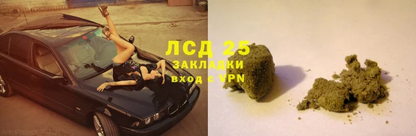 гашик Михайлов