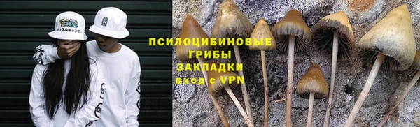COCAINE Медногорск
