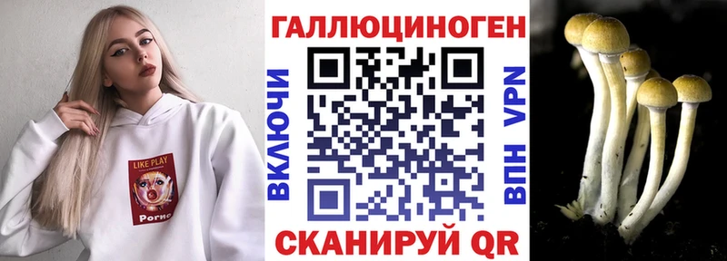 Псилоцибиновые грибы MAGIC MUSHROOMS  Купить  Оренбург 